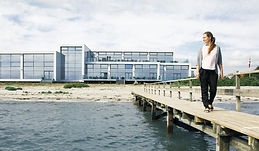 Nyborg.jpeg