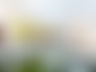 Carpas/toldos Plegables Profesionales para Instalaciones en Barcelona