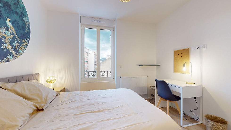 Chambre n°4 "Siq" à Annemasse