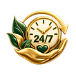 24/7 caregiver support at Bethel Manor