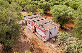 Authentic “Casolare” Farmhouse to Renovate with Olive Grove – Near San Michele, 20 mins to Torre Guaceto