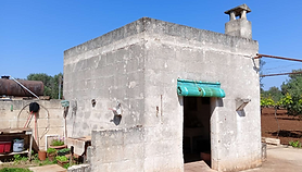 Smallholding Development Opportunity with Well & 1.7 Hectares – Near San Vito dei Normanni, Close to Sea & Airport