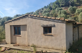Large Olive Grove Finca with Two Buildings and Irrigation Water near Bovera, Catalonia
