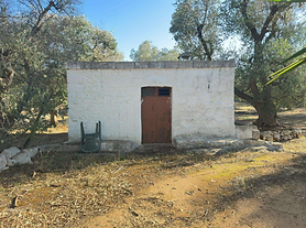 Classic Stone Lamia to Restore with Nearly 1 Hectare – Extension Potential Near San Michele Salentino