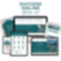 Success Online Starter Guide Bundle.png