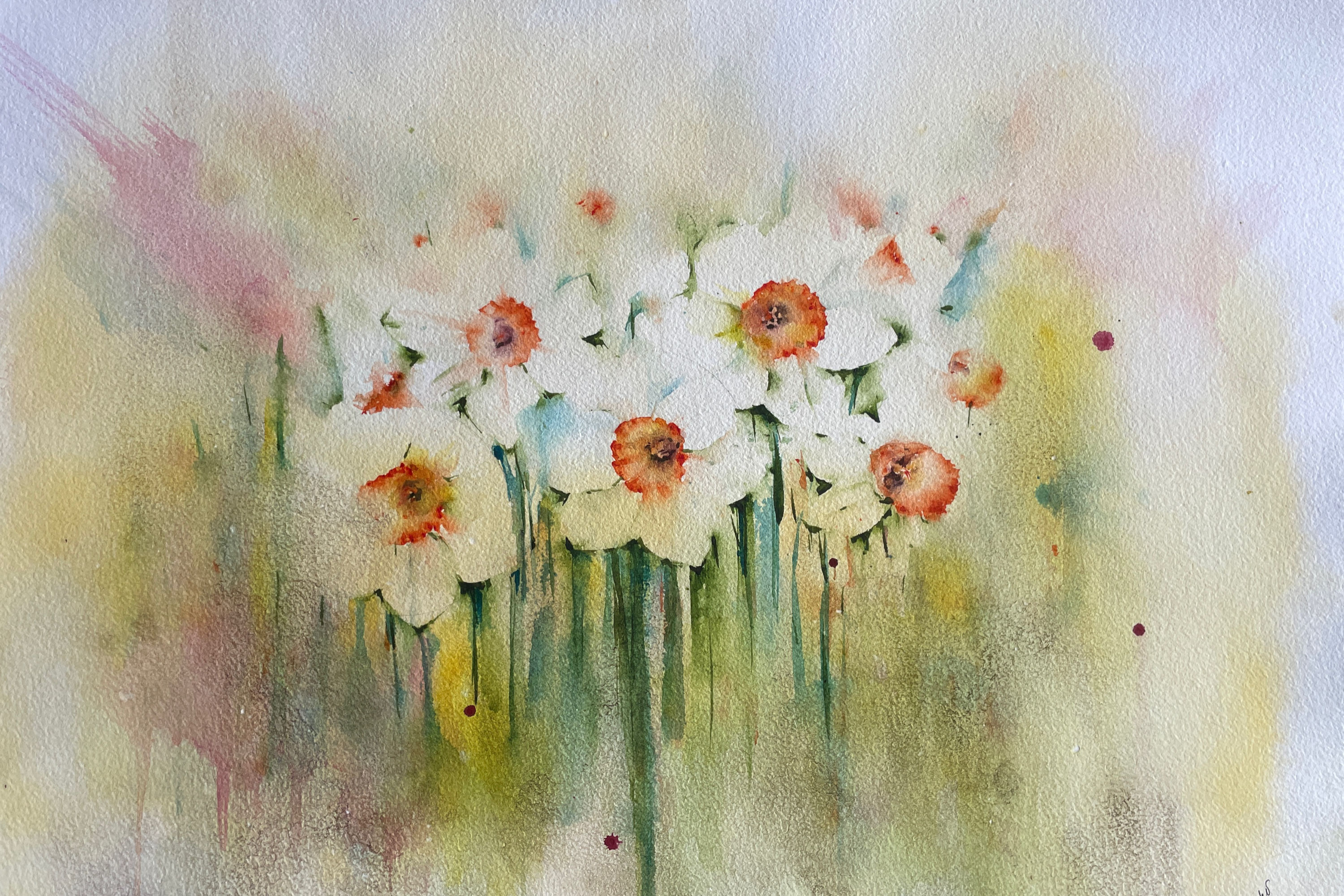 Where Daffodils Dance