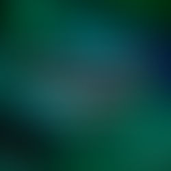 Do you Know The Right Social Media Advertising Strategy to Execute?