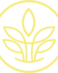 Skizze einer Palme