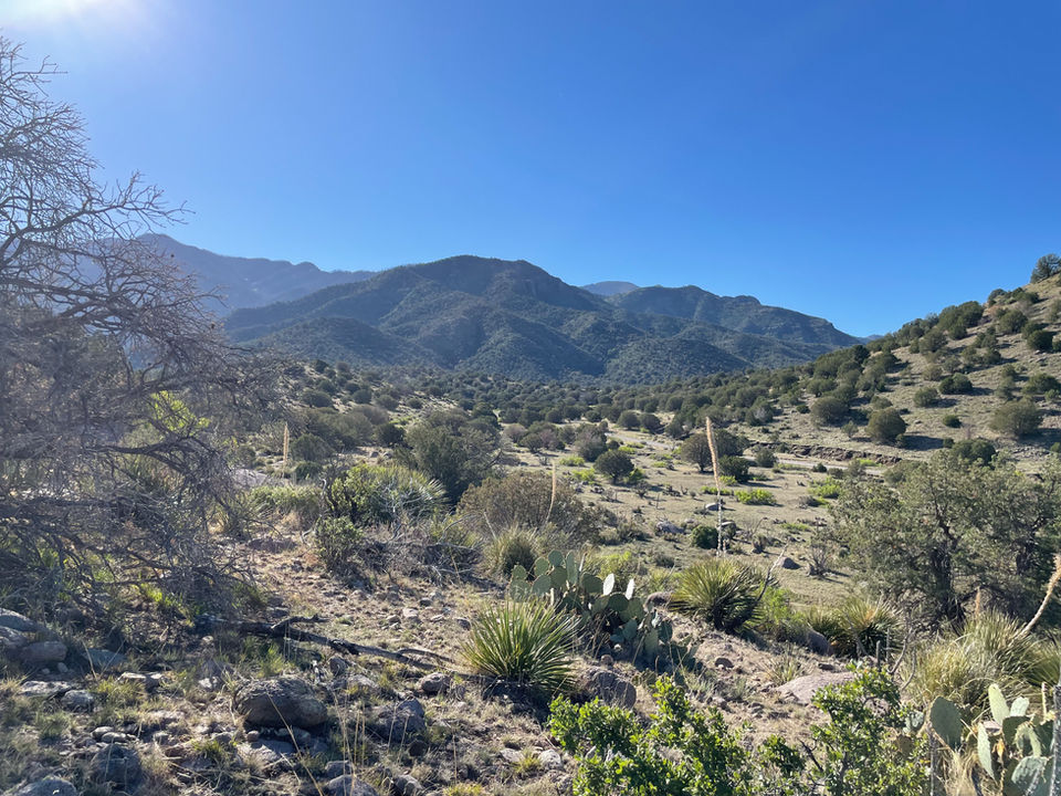 Landscape design 
Landscape Architecture 
landscape architect
Ranch planning
master plan 
design
restoration 
Hunting 
Hunt
Elk