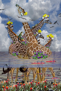 newgiraffeweb.jpg