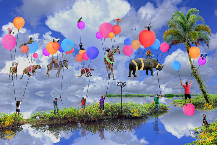 Relocating the Zoo 2 test web.jpg