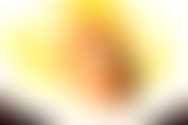 塩紅鮭のポトフ