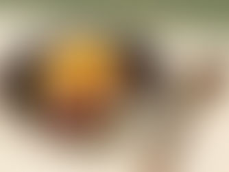 鯨と大葉のユッケ丼【動画】