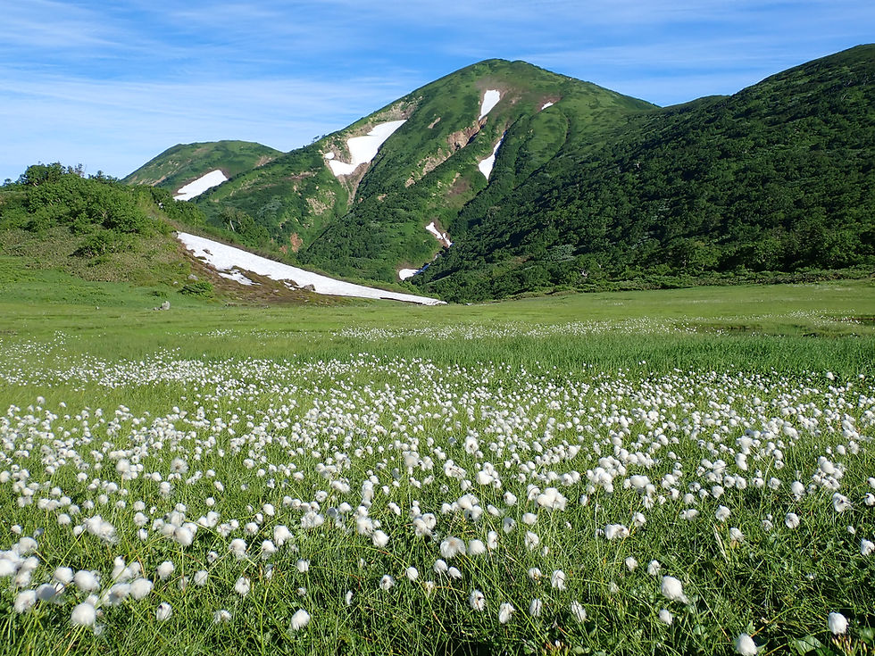 2025/7/23～24　火打山