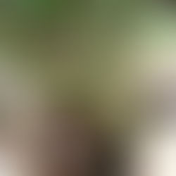 2020/6/24　タケノコ狩り