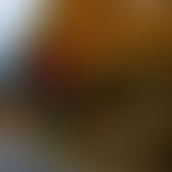 七草通りの紅葉