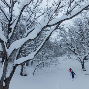 お任せの3日間　2019