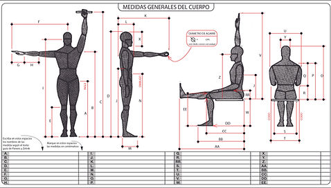 medidas cuerpo M.jpg