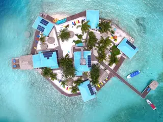 Best Snorkeling Tours Belize 2026: Top 5 Ranked
