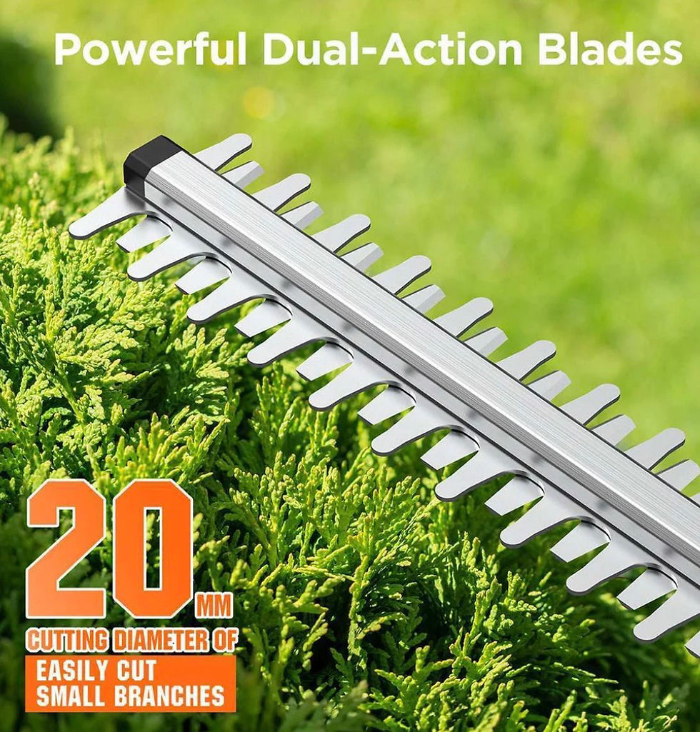 Thumbnail: Litheli U20 20V 2.0Ah Cordless Hedge Trimmer