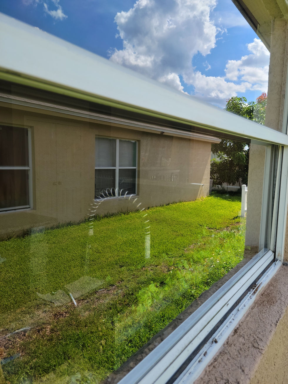 Before/after exterior window cleaning in Tampa