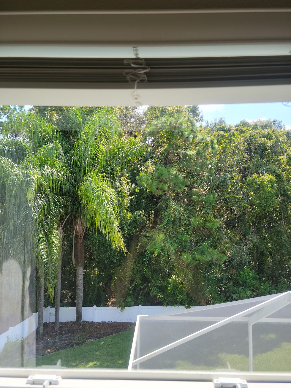 Before/after exterior window cleaning in Largo