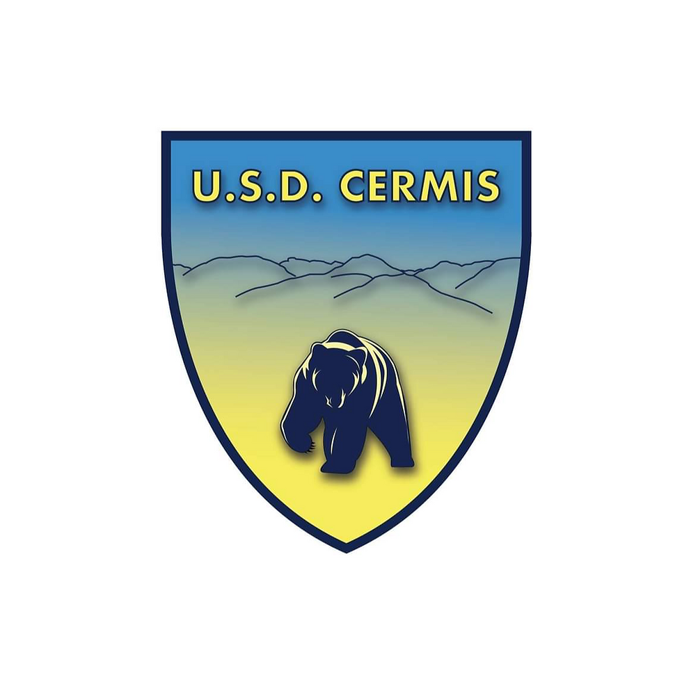 US CERMIS MASI.png