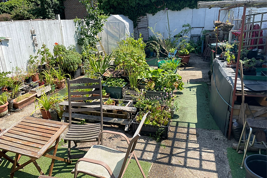 garde photos_edited_edited.png