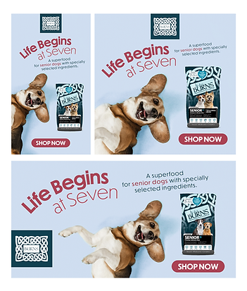 Mockup - Senior Campaign - Google Ads - 2024.png