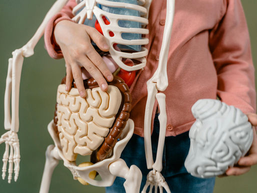 Understanding Your Child’s Brain and Nervous System I What Science Tells Us