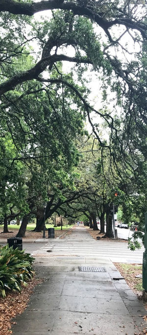 72 hours in New Orleans