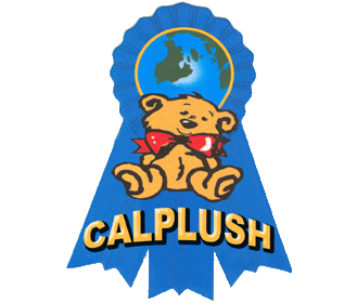 calplush pokemon