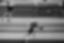 sec_01_bg.jpg
