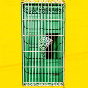Trinidad Door