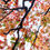 Thumbnail: SCARVES - PERSIMMON (florals & whites)