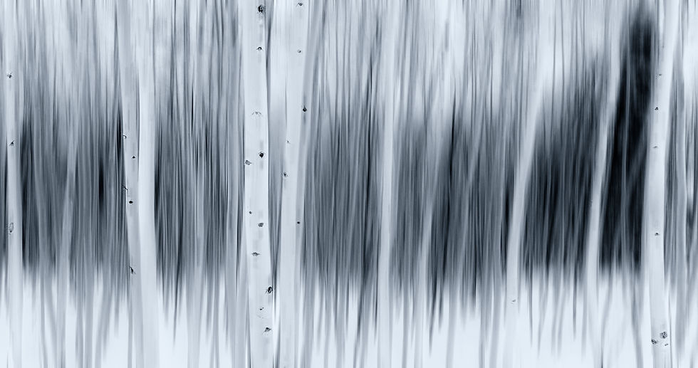 Aspen poetry