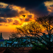 Havana Sunset