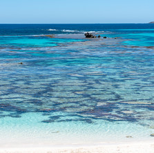 Rottnest Blues