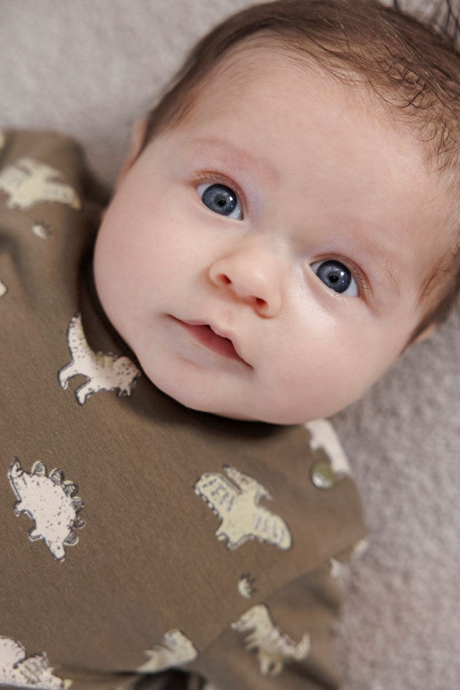 Miniaturbild: Feetje Sweatshirt Dino olive "Rawrsome"