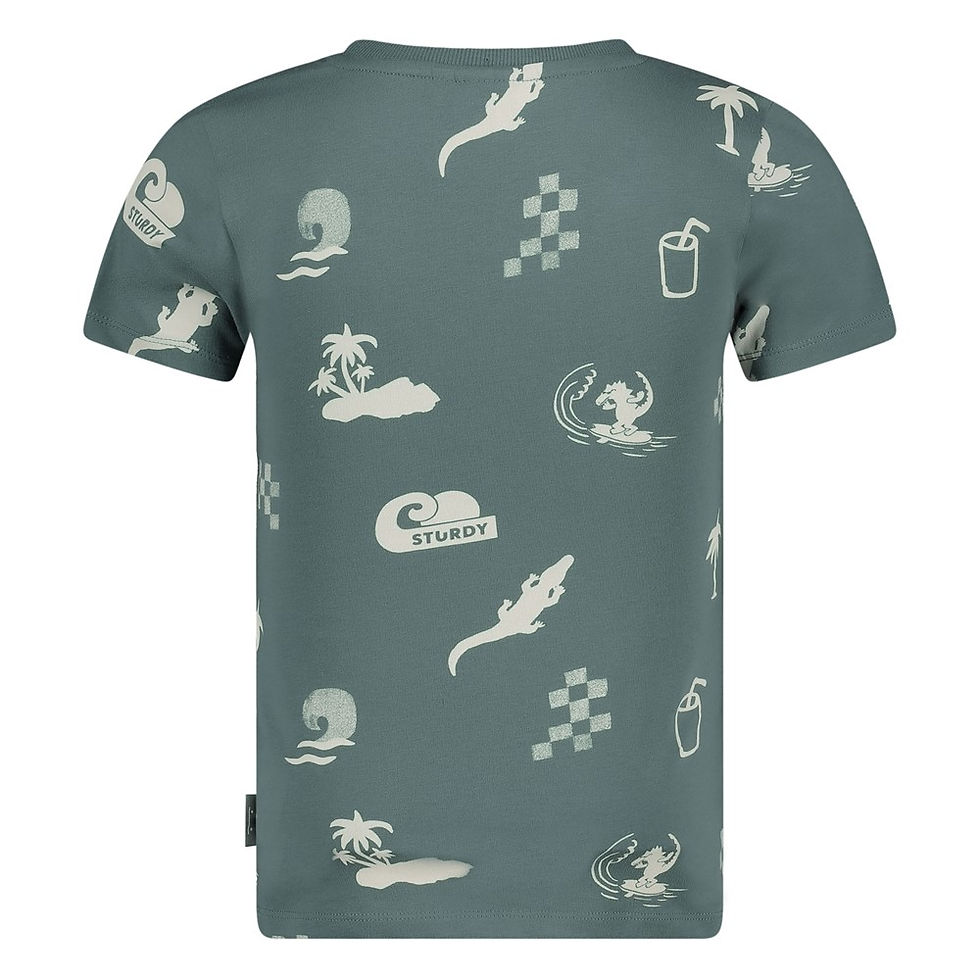 Miniaturbild: Sturdy by Feetje T-Shirt "Lagoon Legends" grün