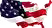USA Logo.avif