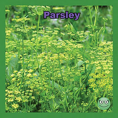 parsley.jpf