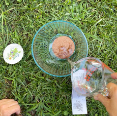 Add 1 ¼ cups water to the coconut coir puck.