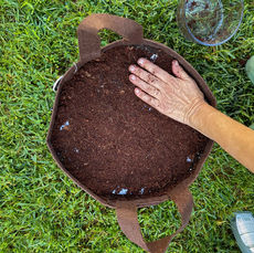 Press gently to firm the coconut coir.