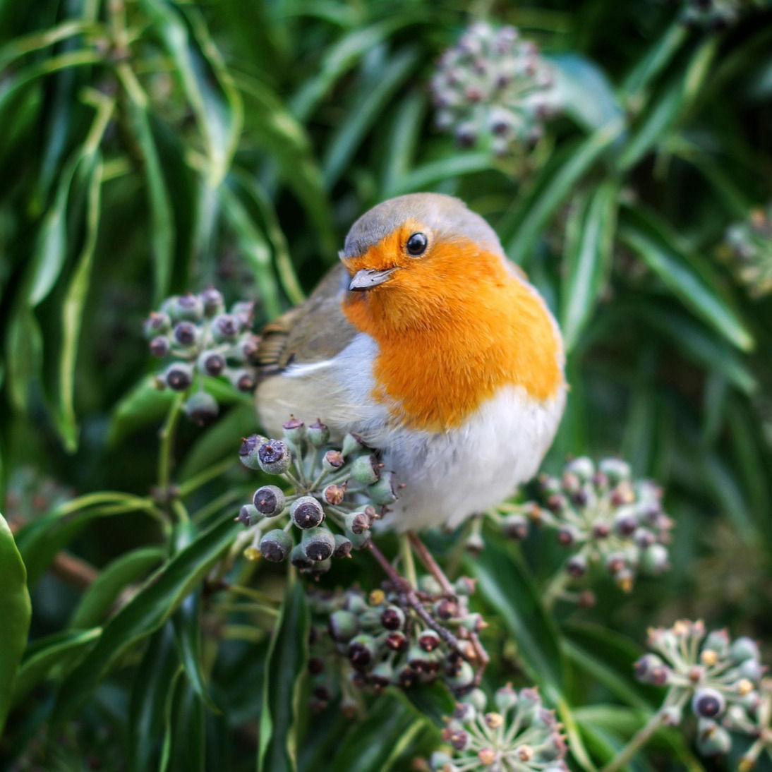 Thérapeuthes en action - Été 2025 - M & V