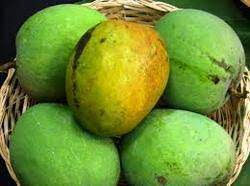 Thumbnail: Malgova ( 3Kg Box Regular)