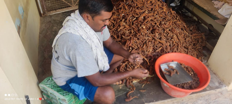 Thumbnail: Tamarind  New Harvest ( Hand cleaned, Locally produced, Deseeded )
