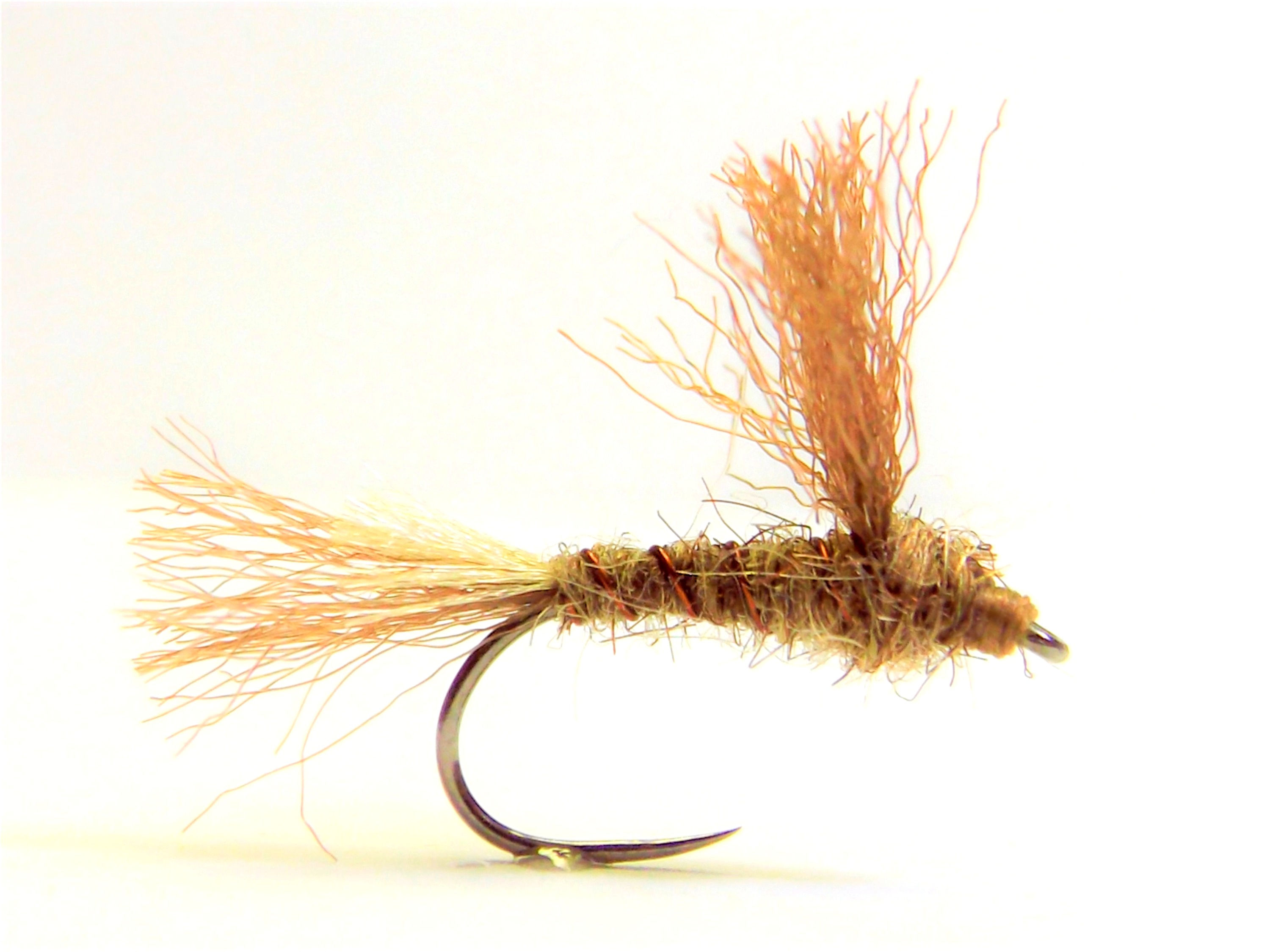 CFA'S HALFWAY MARCH BROWN DUN