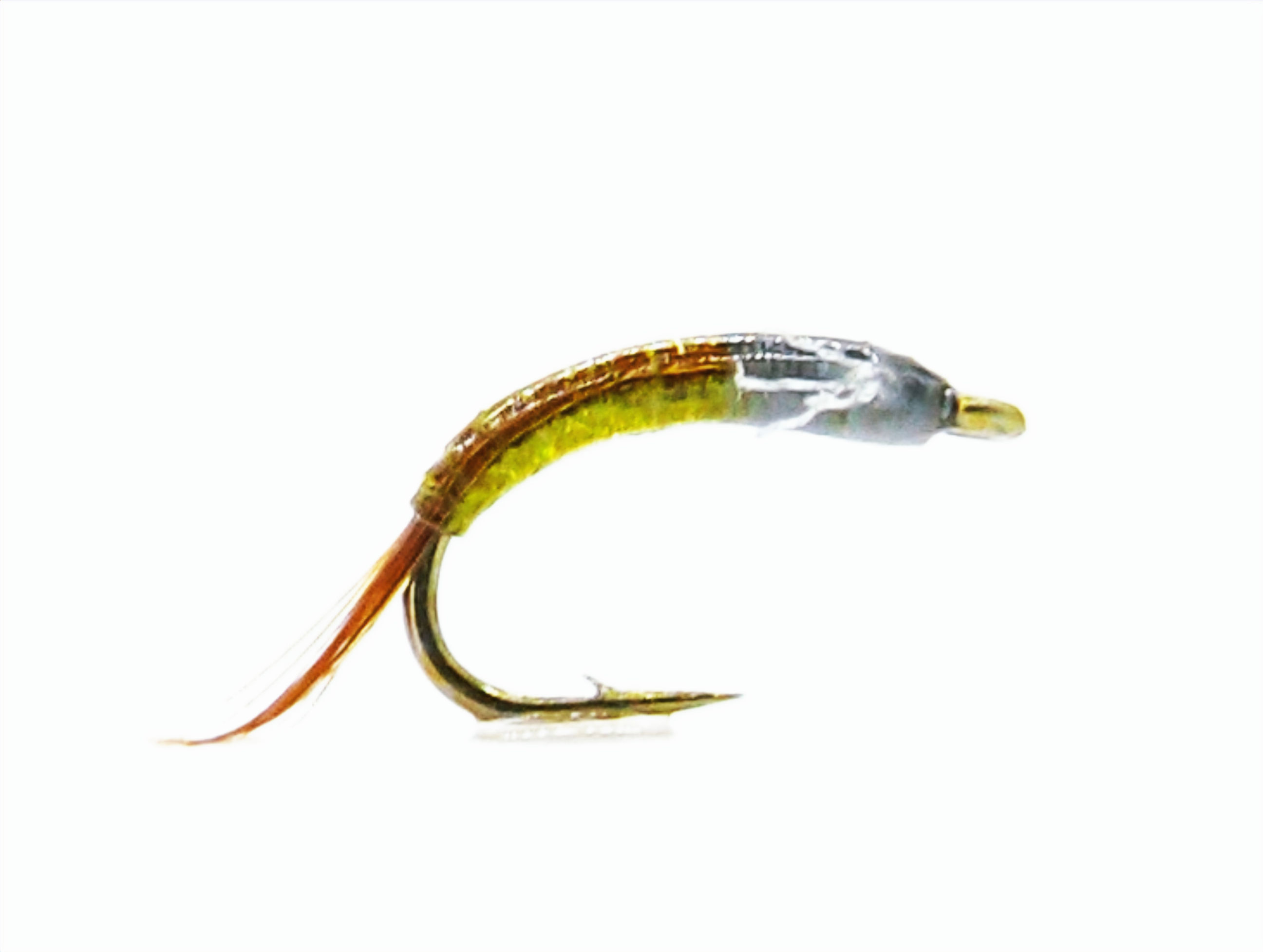 SPLIT CASE SCARFACE BAETIS OLIVE