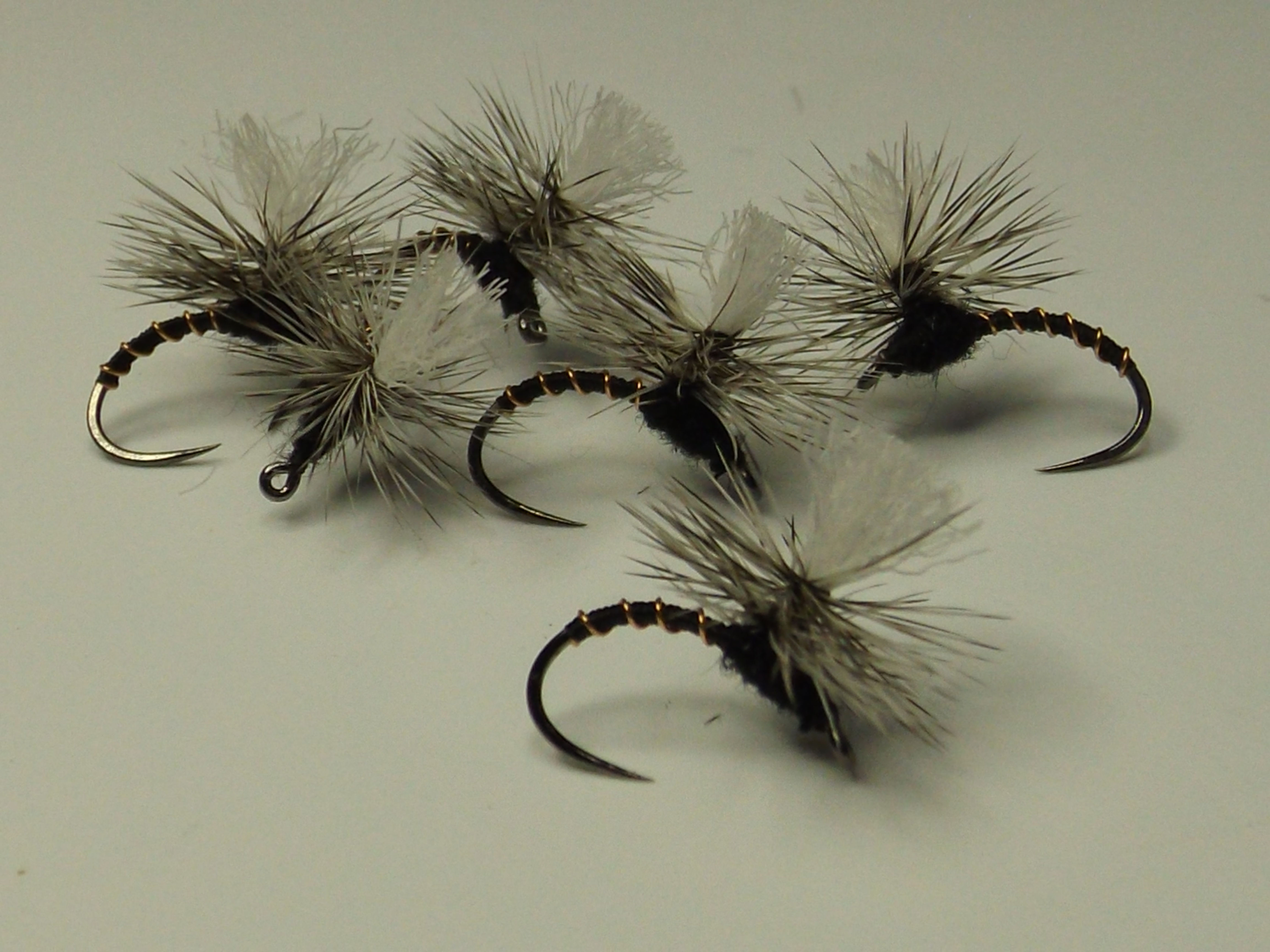 PARACHUTE BLACK BEAUTY